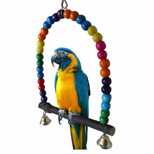  Best Parrot Toys (Test Post)