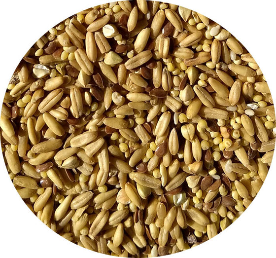 TOPS - 5lb. NAPOLEON SEED 2-PACK (INCLUDES SHIPPING)